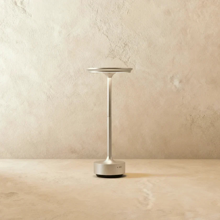 Modern Iron Art Table Lamp LED Light With Acrylic Shade – USB Rechargeable